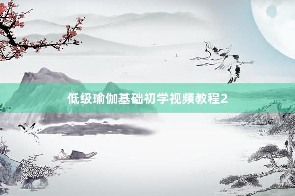 低级瑜伽基础初学视频教程2